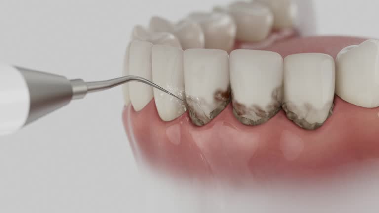 Reliable Dental contractor in Big Bass Lake, PA by Dentist Open Now